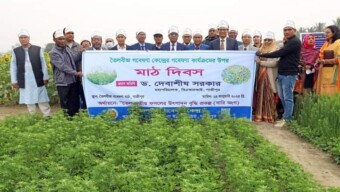 বারি’তে তৈলবীজ গবেষণা কার্যক্রম এর উপর মাঠ দিবস অনুষ্ঠিত