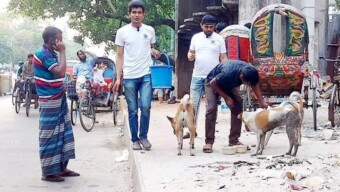 তীব্র তাপদাহে রাজধানীর প্রাণীগুলোর পাশে রাইট টক বাংলাদেশ