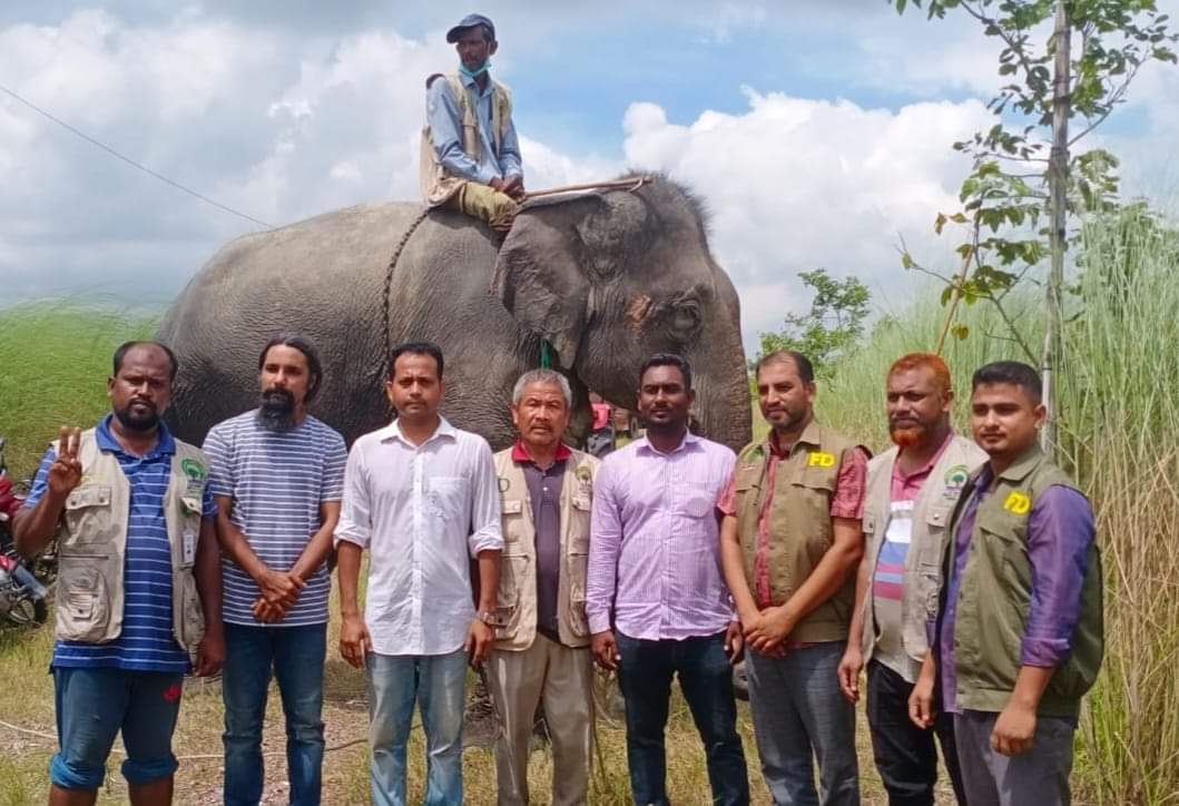 বন বিভাগের অভিযানে উদ্ধার নির্যাতিত হাতি, চাঁদাবাজ চক্রের মাহুত আটক।