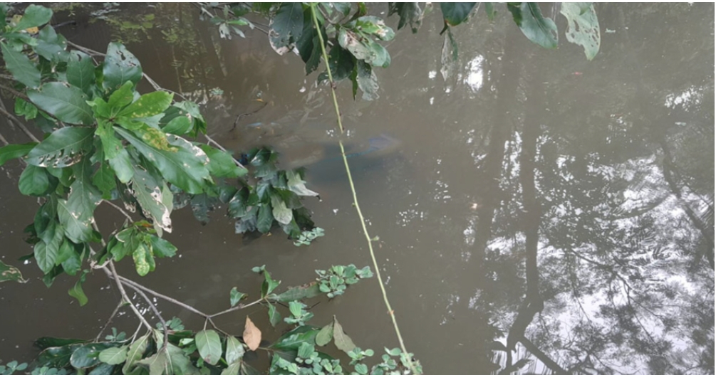 বাড়ীর পাশের ডোবা থেকে আওয়ামীলীগ কর্মী হরলালের মরদেহ উদ্ধার