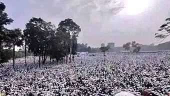 ঢাকার ঐতিহাসিক সোহরাওয়ার্দী উদ্যানে চলছে ইসলামী মহাসম্মেলন।