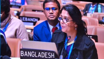 কপ২৯ এ অনুদানভিত্তিক অর্থ বরাদ্দের আহ্বান জানালেন পরিবেশ উপদেষ্টা সৈয়দা রিজওয়ানা হাসান।