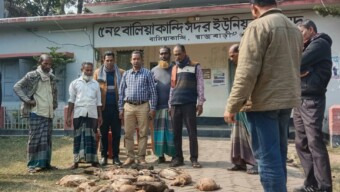 বালিয়াকান্দিতে বিষ প্রয়োগে ২১ টি হাঁস মারাযাবার অভিযোগ