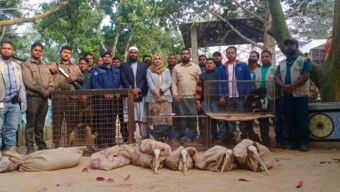দিনাজপুরের স্বপ্নপুরী পার্কে বন বিভাগের অভিযান: অবৈধভাবে আটক ৭৪টি বন্যপ্রাণী উদ্ধার।