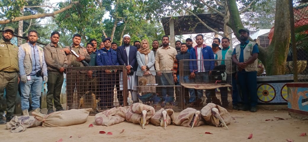 দিনাজপুরের স্বপ্নপুরী পার্কে বন বিভাগের অভিযান: অবৈধভাবে আটক ৭৪টি বন্যপ্রাণী উদ্ধার।