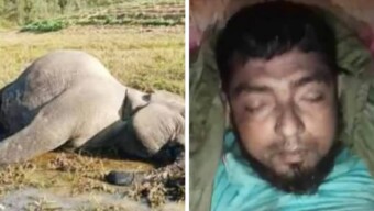 লামায় কৃষক মরলেন হাতির আক্রমণে, তাঁর দেওয়া বৈদ্যুতিক ফাঁদে সঙ্গী গর্ভবর্তী হাতির মৃত্যু