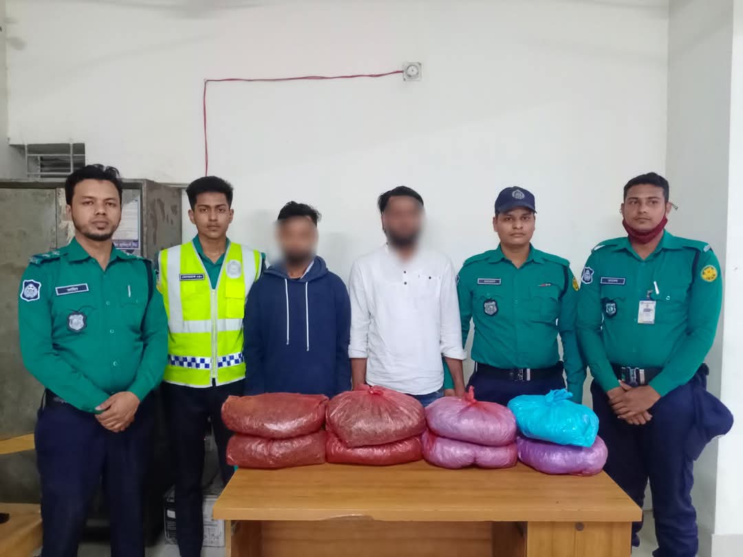 আট কেজি গাঁজাসহ পেশাদার মাদক কারবারি চক্রের দুই সক্রিয় সদস্যকে গ্রেফতার করেছে তুরাগ থানা পুলিশ