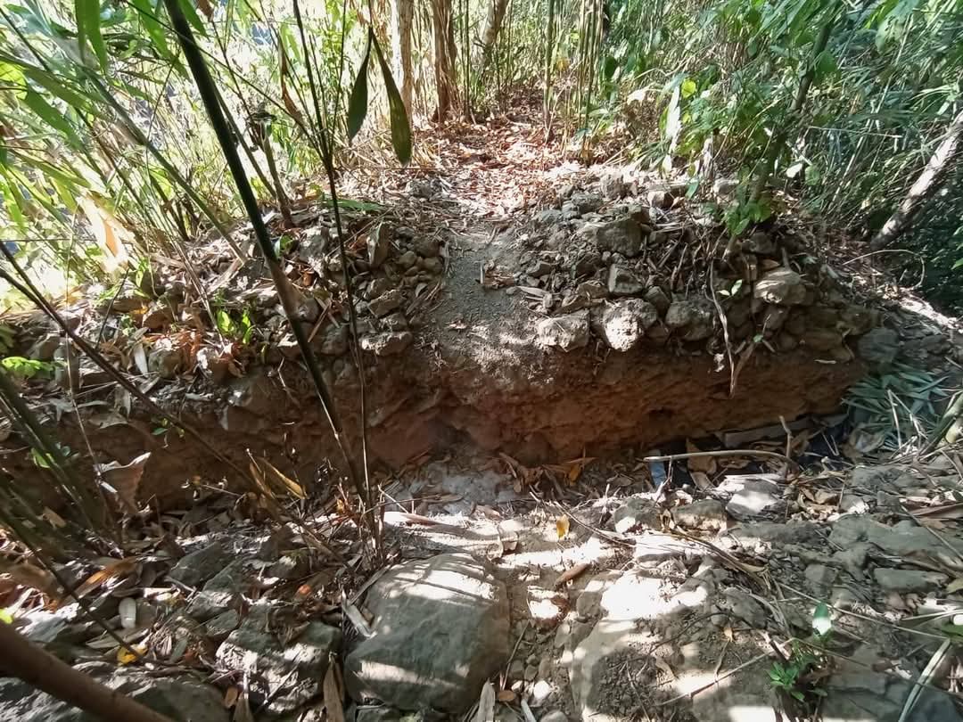 সন্ত্রাস দমনে বিলাইছড়ি ও পার্শ্ববর্তী এলাকায় বাংলাদেশ সেনাবাহিনীর সফল অভিযান পরিচালনা