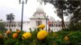 পদ্মার গোয়ালন্দ থেকে পাকশী চ্যানেলে বালু উত্তোলন বন্ধের নির্দেশ