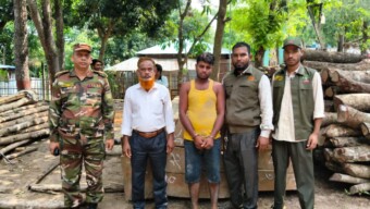 অবৈধ পথে পাচার কালে বাঙ্গালহালিয়া আর্মি ক্যাম্প ৫ লাখ টাকার সেগুনের কাঠ উদ্ধার