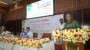 আম রপ্তানী বাড়াতে সরকার কাজ করছে- কৃষি উপদেষ্টা