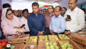 আম উৎপাদনে উত্তম কৃষি চর্চা সারা দেশে ছড়িয়ে দিতে হবে- কৃষি সচিব