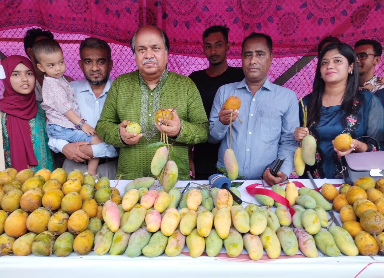 ঢাকায় শুরু হলো দেশীয় আমের মেলা