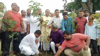 টাংগাইলের নাগরপুরে কৃষকদল ও ছাত্রদলের বৃক্ষরোপন কর্মসূচী অনুষ্ঠিত