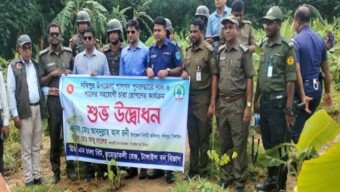 সখীপুরে যৌথবাহিনীর অভিযানে বন বিভাগের ১৩ একর জমি উদ্ধার