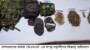 বান্দরবানে কেএনএফ সশস্ত্র সন্ত্রাসী গোষ্ঠীর বিরুদ্ধে সেনাবাহিনীর সফল অভিযান