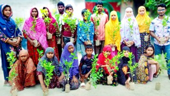 দিনাজপুর এর বীরগঞ্জে বৃক্ষরোপণ কর্মসূচী পালিত