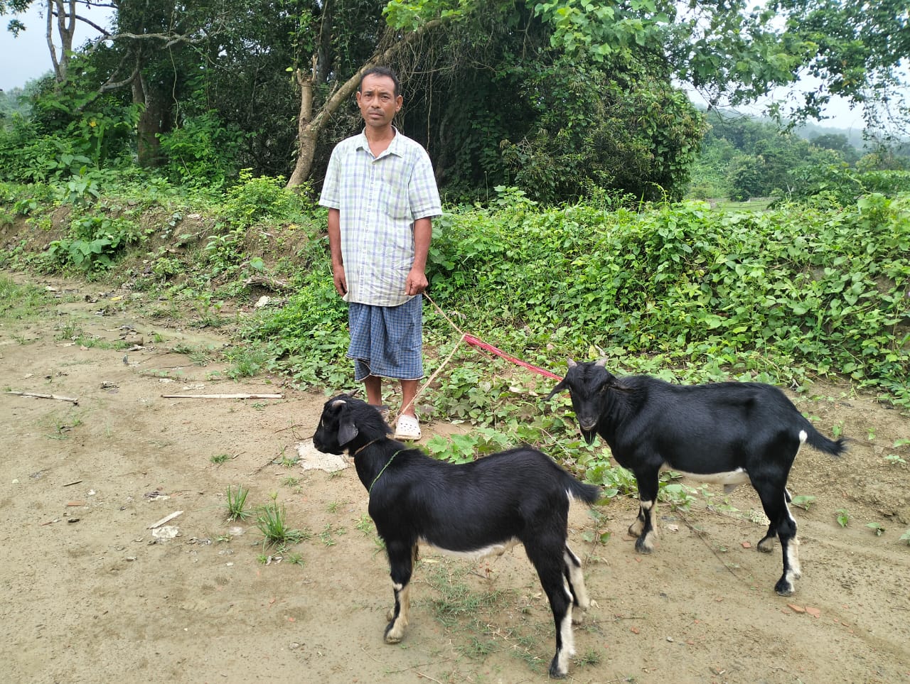 সীমান্তে ভারতীয় নাগরিক আটক, সঙ্গে দুটি পাঠা ছাগল উদ্ধার