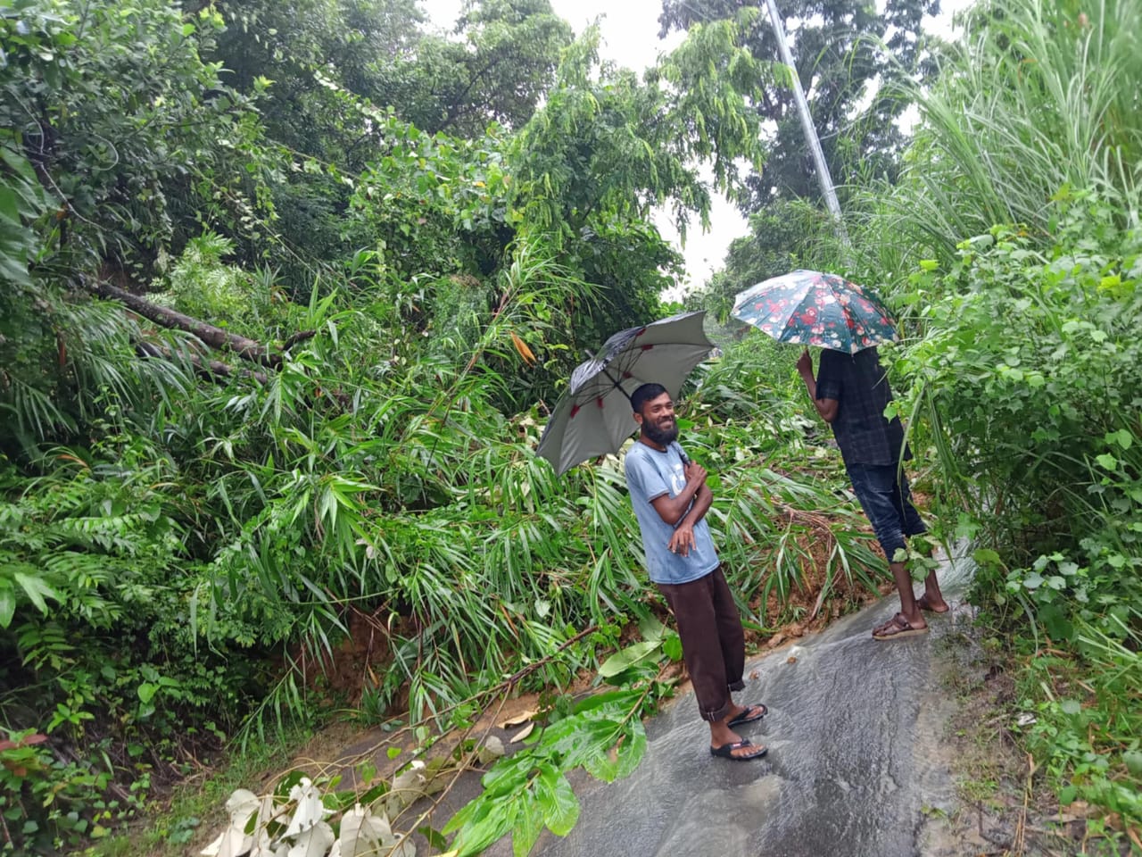রাঙামাটির বাঘাইছড়ি–দিঘিনালা সড়কে পাহাড় ধস, ৮ ঘন্টা পর সড়ক যোগাযোগ সচল