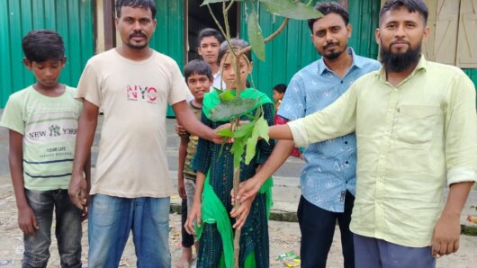 ফলের গাছে সবুজে ভরবে প্রত্যন্ত চরের স্কুল 
