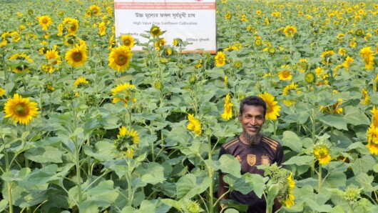 এইচএসবিসির সহায়তায় বাংলাদেশের দক্ষিণ-পশ্চিম উপকূলীয় কৃষিক্ষেত্রের সম্প্রসারণ