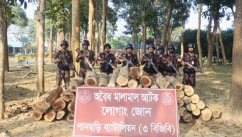পানছড়িতে বিজিবির অভিযানে অবৈধ সেগুন কাঠ জব্দ