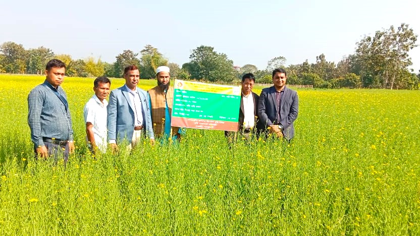 পানছড়িতে সরিষা চাষে কৃষক মাঠ দিবসকম সময়ে বেশি লাভে তেল ফসল আবাদে উৎসাহ
