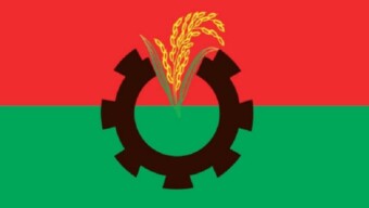 রাজধানী ঢাকায় বিএনপির জয়জয়কার: ২০ আসনের ১৩টিতেই ধানের শীষের জয়