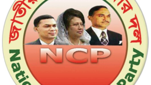বাংলাদেশ জাতীয়তাবাদী সাইবার দলের নতুন কমিটি ঘোষণা