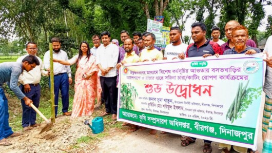 বীরগঞ্জে সজিনা চাষ সম্প্রসারণে রোপণ কার্যক্রমের শুভ উদ্বোধন