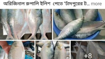 অনলাইনে চাঁদপুরের ইলিশ কেনার ফাঁদ: কুরিয়ার সার্ভিসের নামে অভিনব জালিয়াতি, চট্টগ্রামে নারী গ্রাহক প্রতারিত