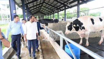দেশী জাতের গবাদিপশু উন্নয়নে কার্যকর পদক্ষেপ নেওয়া হবে– মৎস্য ও প্রাণিসম্পদ প্রতিমন্ত্রী
