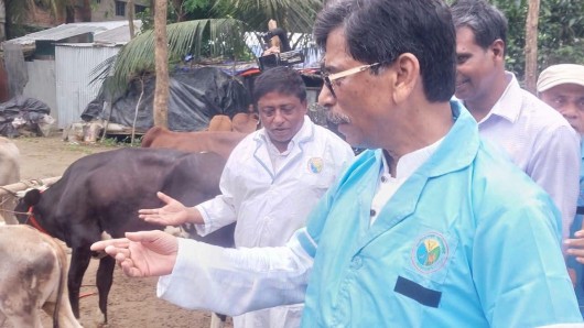 চট্টগ্রামাঞ্চলে ১৫ দিনের মধ্যে শতভাগ গবাদিপশু এফএমডি টিকার আওতায় আসবে—মৎস্য ও প্রাণিসম্পদ এবং কৃষিমন্ত্রী