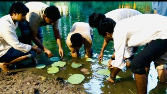 ধানমন্ডি লেকে কমল-শাপলার চারা রোপণ করলেন ছাত্রদল নেতা প্রিন্স