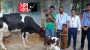 ইসরাত ও রোজা মনির পরিবারের স্বাবলম্বিতা নিশ্চিতে স্বপ্নের উদ্যোগ